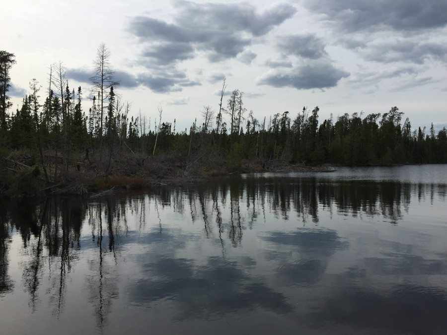 Polly Lake 1